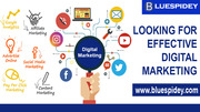 Blue Spidey | Digital Marketing Agency,  SEO Services,  PPC Company,  